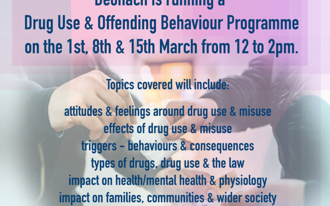 Drug and Offending Programme 2024